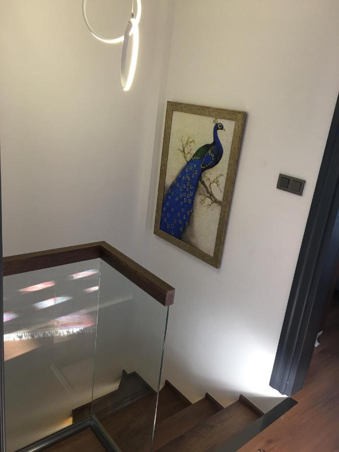 Villa Yilmaz Dream Holiday Κουσάντασι Εξωτερικό φωτογραφία