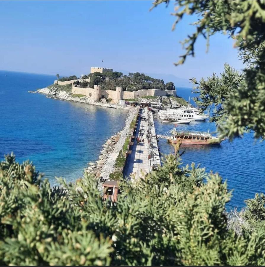 Villa Yilmaz Dream Holiday Κουσάντασι Εξωτερικό φωτογραφία